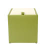Taburet Box - imitatie piele verde/crem - 21899/21834 Taburet Box - imitatie piele verde/crem - 21899/21834