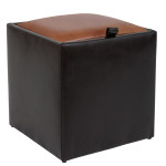 Taburet Box - imitatie piele wenge/coniac - 21835/8070
