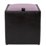 Taburet Box - imitatie piele wenge/mov - 21835/21897 Taburet Box - imitatie piele wenge/mov - 21835/21897