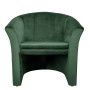Fotoliu Iulia - stofa H56 - verde Fotoliu Iulia - stofa H56 - verde