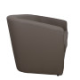 Canapea Tudor imitatie piele -  C06 taupe