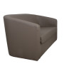 Canapea Tudor imitatie piele -  C06 taupe