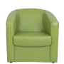 Fotoliu Tudor imitatie piele - verde 21899 Fotoliu Tudor imitatie piele - verde 21899